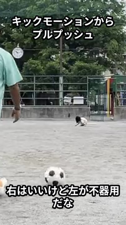 キックモーションから